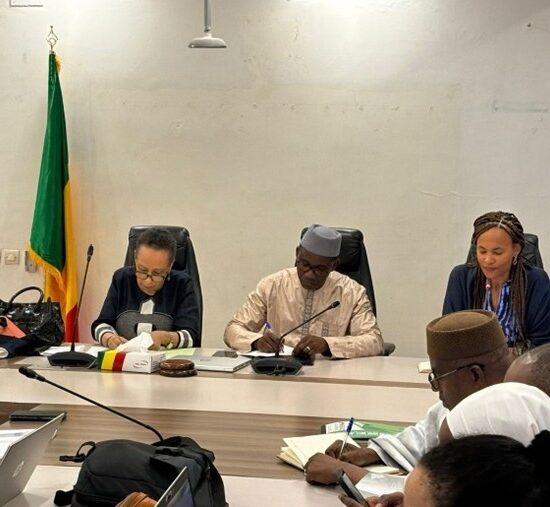 Mission du Fonds mondial au Mali – Consolidation du partenariat pour la santé publique